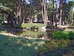 Jardim do Carregal (Carrilho Videira)
