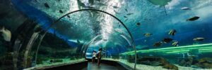 Oceanário de Lisboa