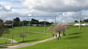 Parque da Bela Vista